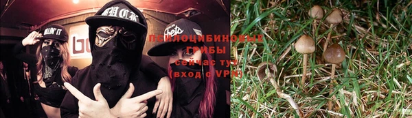 не бодяженный Краснотурьинск