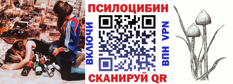blacksprut tor Новороссийск Галлюциногенные грибы Psilocybine cubensis