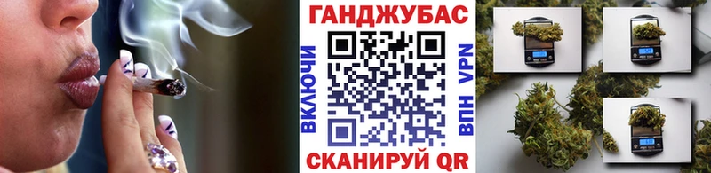 Шишки марихуана семена  Новороссийск 